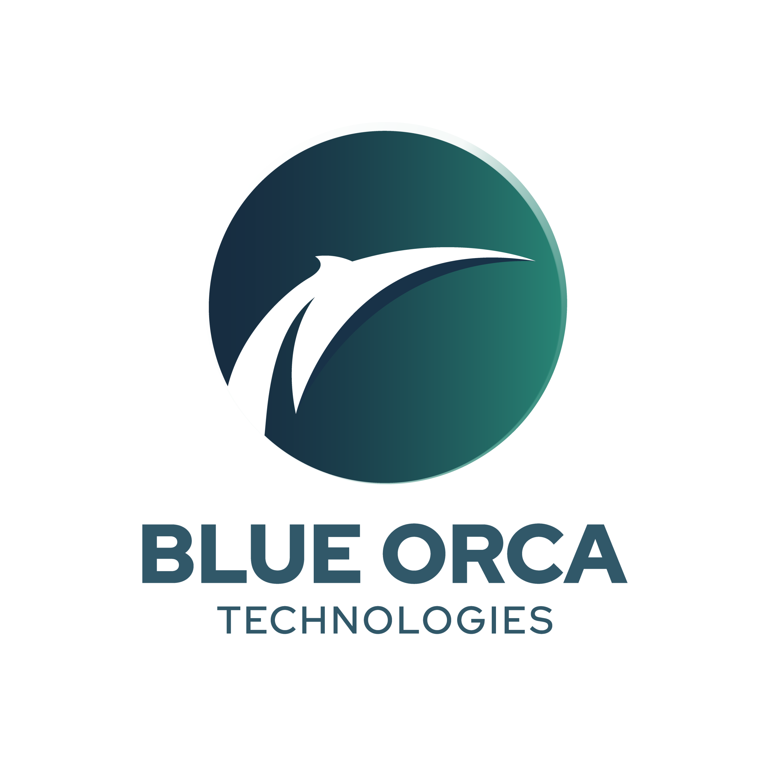 center dark Blue Orca Technologies logo